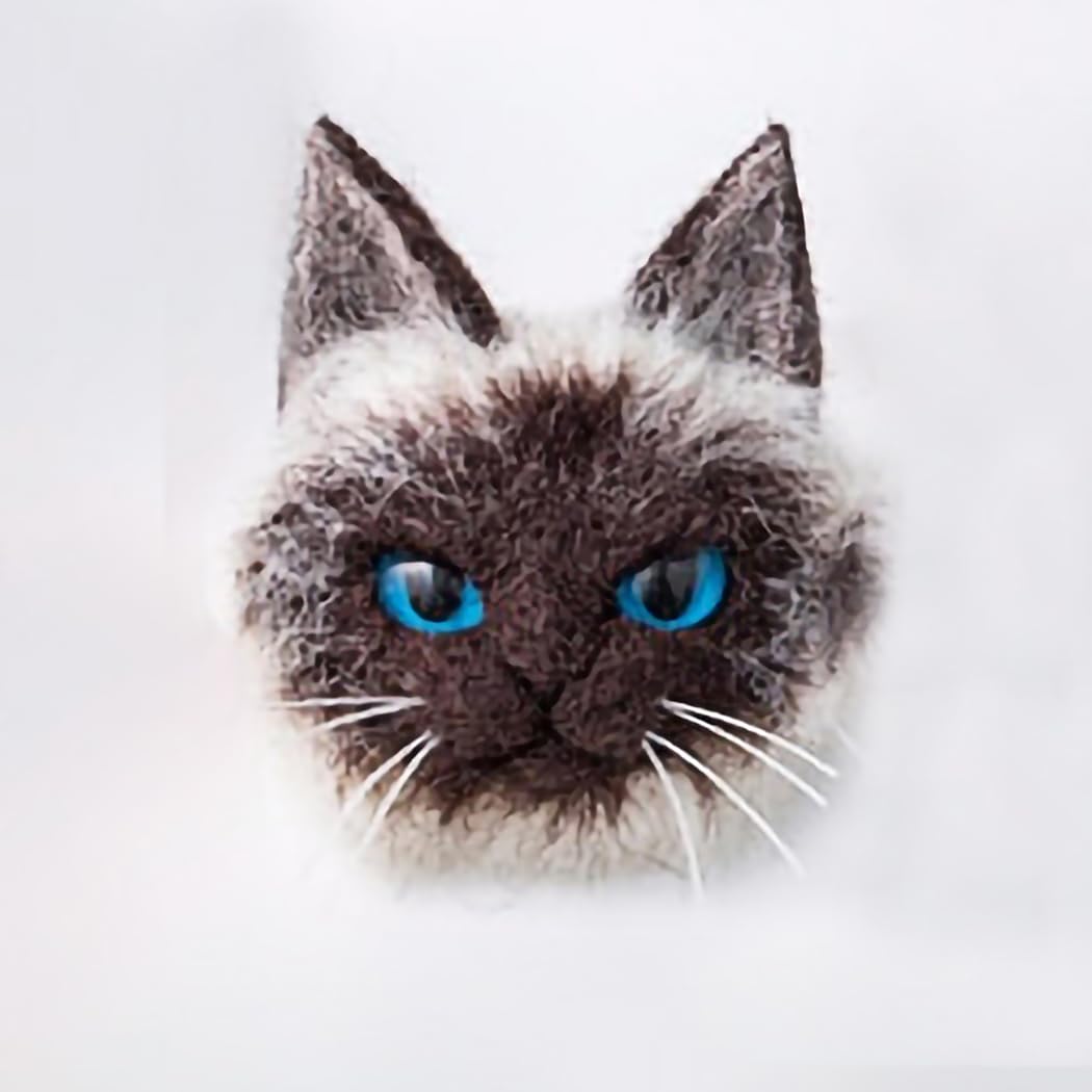 DIY Needle Felting Kit with Basic Needle Felting Tools,Kit for Beginners,Cat Kitten,Animal (Siamese)
