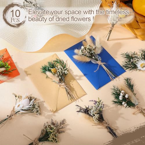 Nuanchu 10 Pcs Mini Dried Flower Bouquet Mixed Natural Dried Flowers with Stem Boho Plant Stem Bunch for DIY Craft Card Home Party Photo Props Wedding Decor, 5 to 6 inches(Boho Styles) - style: Boho Styles