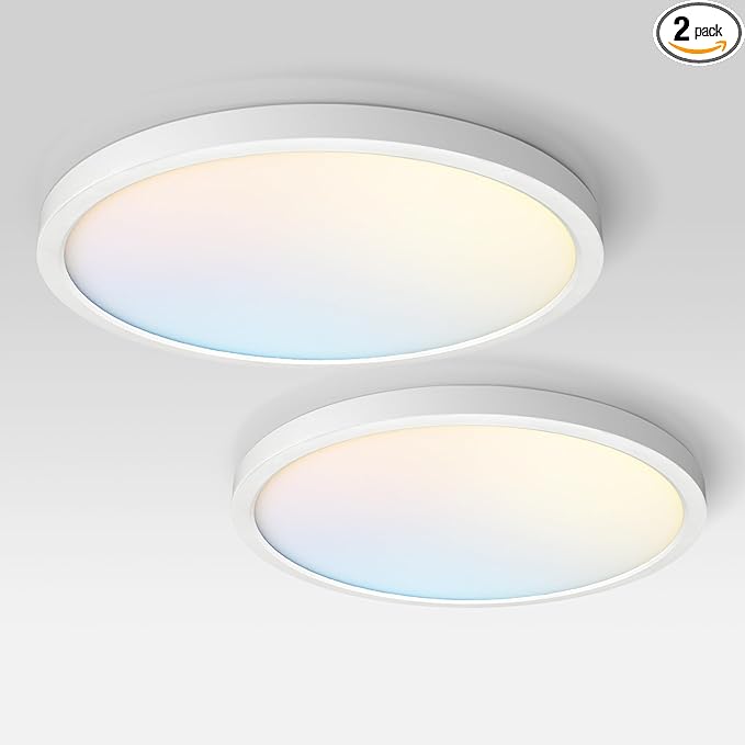 ASD LED 24" Round Flush Mount Ceiling Light Fixture, Low Profile Surface Lighting | 5CCT, Dimmable, Ultra-Thin, ETL Listed | 38W 2700LM 2700-6000K 100-277V | Kitchen, Hallway Lamp | White, 2 Pack