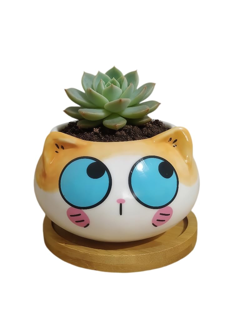 Cuteforyou Cute 3.5 Inches Indoor Cartoon Animal Cat Shaped Ceramic Succulent Cactus Flower Plant Pots with Bamboo Tray-Plant Not Included (Blue Eyes)