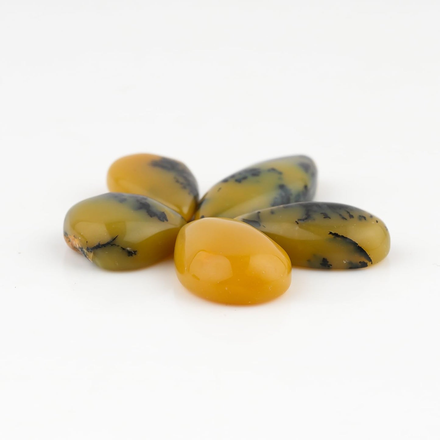 CRYSTALINES 5pcs, Wholesale Natural Yellow Dendrite Agate Gemstones, Bulk Flatback Cabochon Stones, DIY Jewelry Making, Healing Crystals, Polished Loose Supplies, Wire Wrapping, Gem Collection