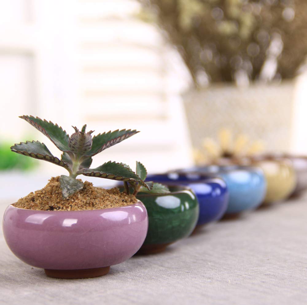 Lawei 12 Pack Ice Crack Succulent Pots with Bamboo Saucer - Ceramic Mini Cactus Plant Pots Flower Pots Container Planter for Home Garden Office Decoration