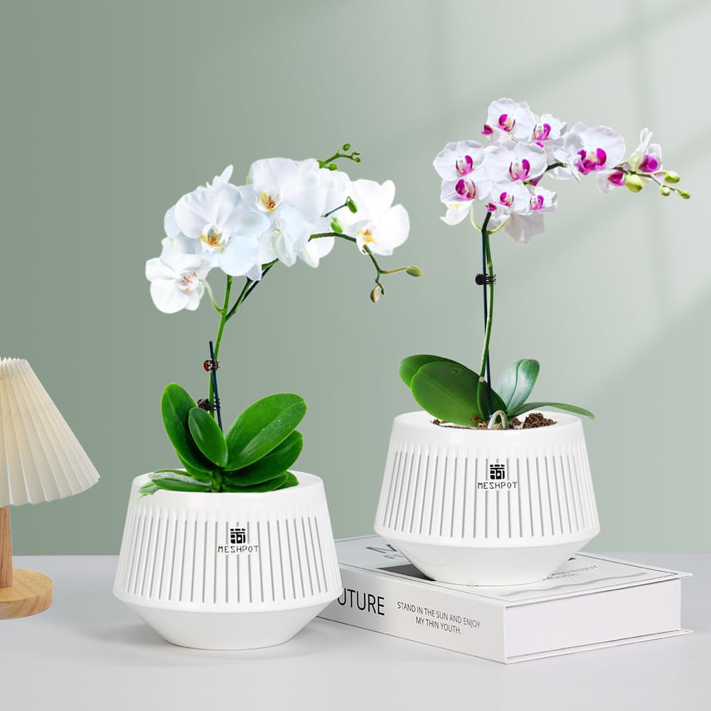 Meshpot 2Pcs 4 inch Clear Orchid Pots with Holes Match White Plastic Orchid Planter & 5 inch White Decorative Orchid Pot