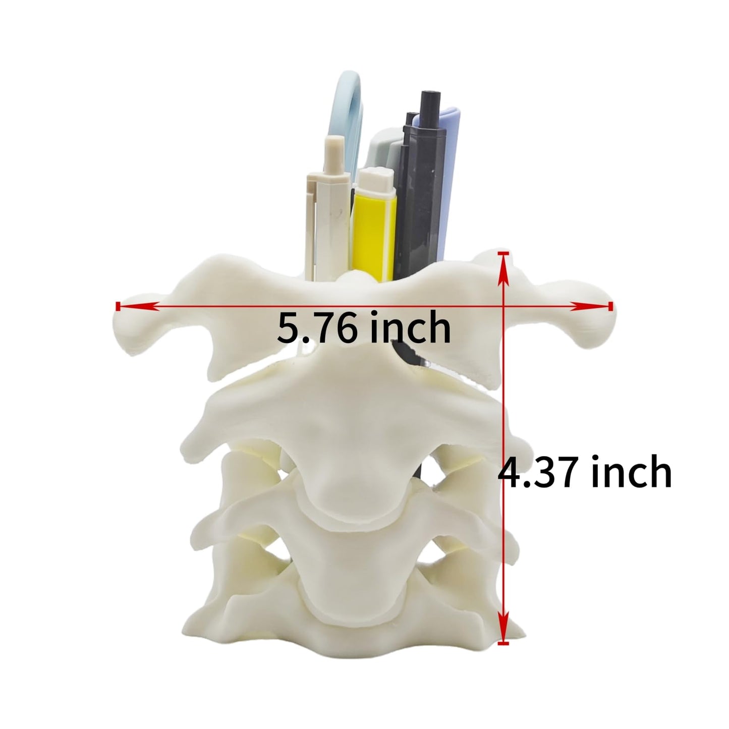 TIME&TRAVE Unique Spine Pen Holder for Desk, Pencil Holder Desk Organizers, Office Supplies Decorations Idea Gift for Doctors, Nurses, Chiropractors