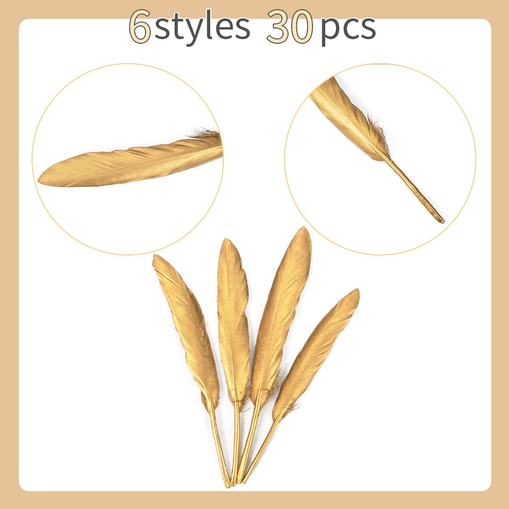 WENCELYL Gold Feather 6styles 30pcs Natural Goose Swan Feathers for Wedding Party Decoration DIY Crafts Halloween Performances Accessories