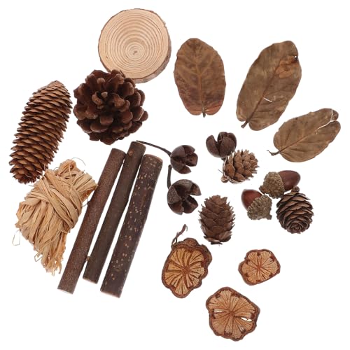 LUOEM Natural Forest DIY Craft Set Rustic Pine Cones Leaves Dried Flowers Ornaments Photo Booth Props Home Decor