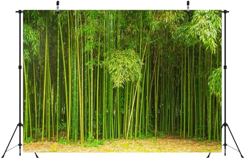 8x6ft Fabric Bamboo Forest Backdrop Park Green Bamboo Trees Forest Natural Texture Photography Background Natural Home Wallpaper Decor Photo Props - size: 8x6FT
