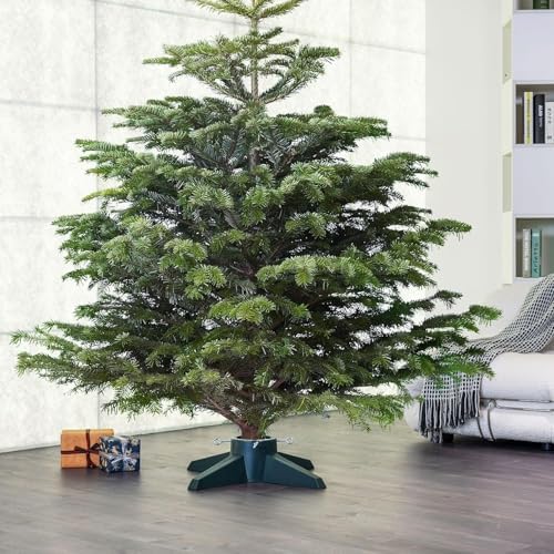 Taylor & Brown Christmas Tree Stand With Reservoir | Real Xmas Tree Stand | Christmas Tree Base With Removable Legs | Xmas Tree Holder For Home & Office | Maximum Tree Size 8ft (Green)