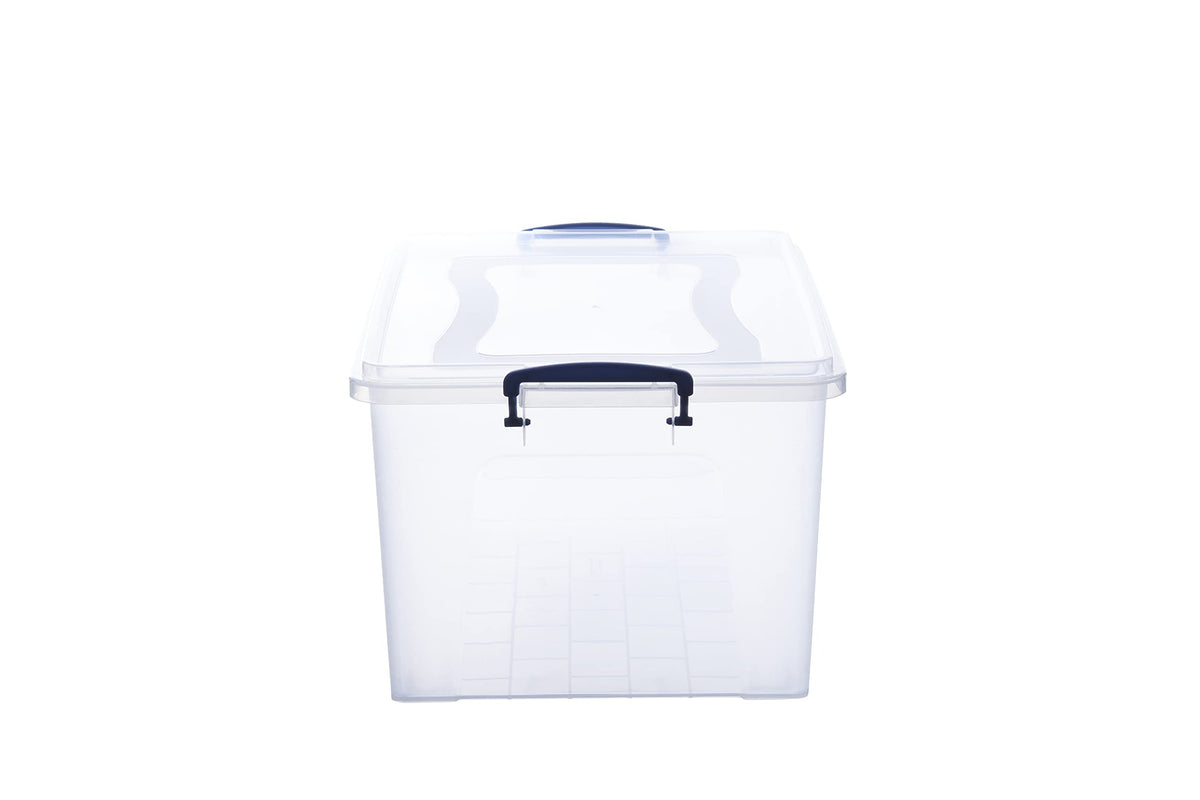 Storage Bins with Lids (4 Count)