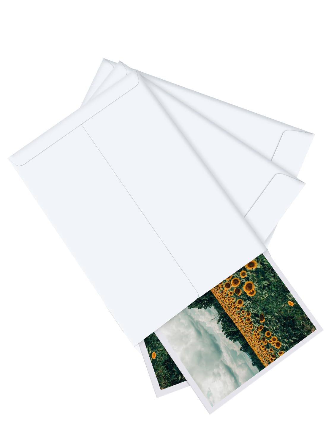 Eupako Catalog Envelopes 6x9 Small White Envelopes Self Seal 250 Pack for Mailing, Organizing, Storage