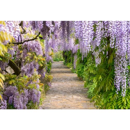5x4ft Purple Cirrus Pathway Photography Backdrop - Wedding Ceremony & Anniversary Honeymoon Birthday Photo Studio Vinyl Props - size: 5x4ft