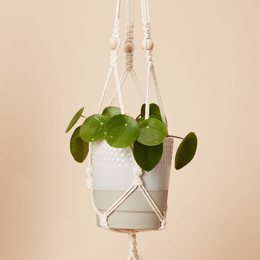 Calm Club 'Hang Time' Macrame Kit | Macrame Plant Hanger Kit | Macramé Hanging Planter Craft Kits | Mindfulness Gifts | Relaxation Arts and Crafts for Adults: Macrame Cord, Beads, Rings & Tutorial