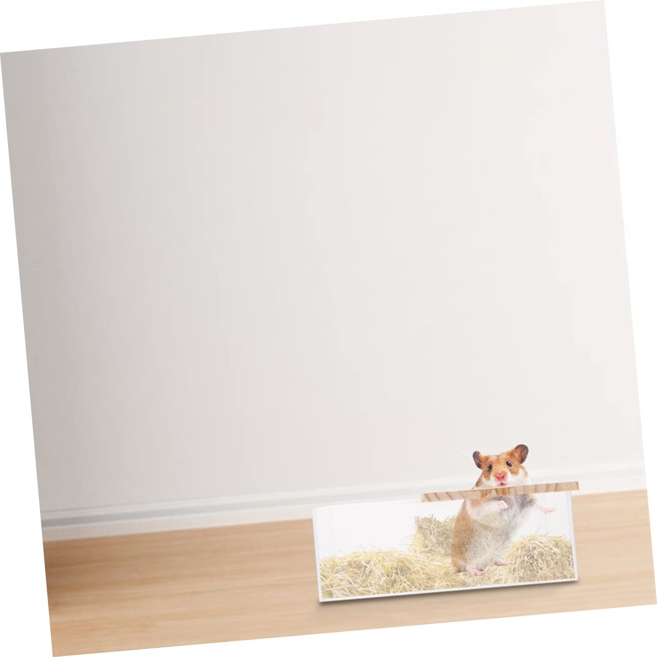 WOONEKY Chinchilla Bath Toy Bin Acrylic Small Chinchilla Bathtub Multi-Function Cage Box Easy Clean Design