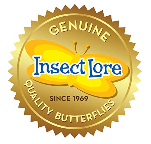 Insect Lore Raise and Release Butterfly Garden Kit – Caterpillar Habitat with redeemable Voucher – STEM-accredited Butterfly Growing Kit for Kids, Classrooms, and Homeschool Learning