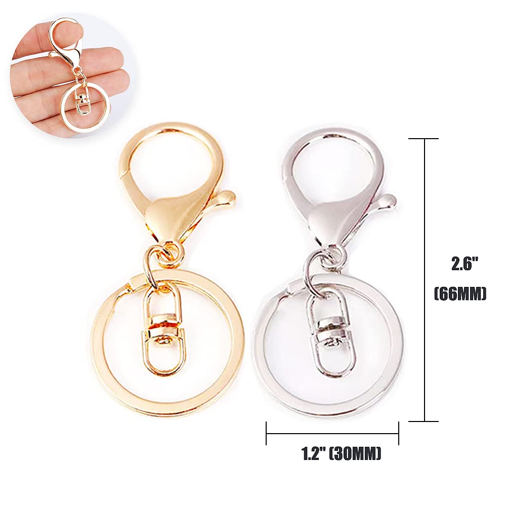 Lobster Claw Clasp Key Chain Rings Kit-20 PCS Clasps Lanyard Snap Hooks with Split Key Rings, Gold/Silver Keychain Clip Hooks Keychain Ring Carabiner Buckles for Leather Crafts DIY Project- 2 Color