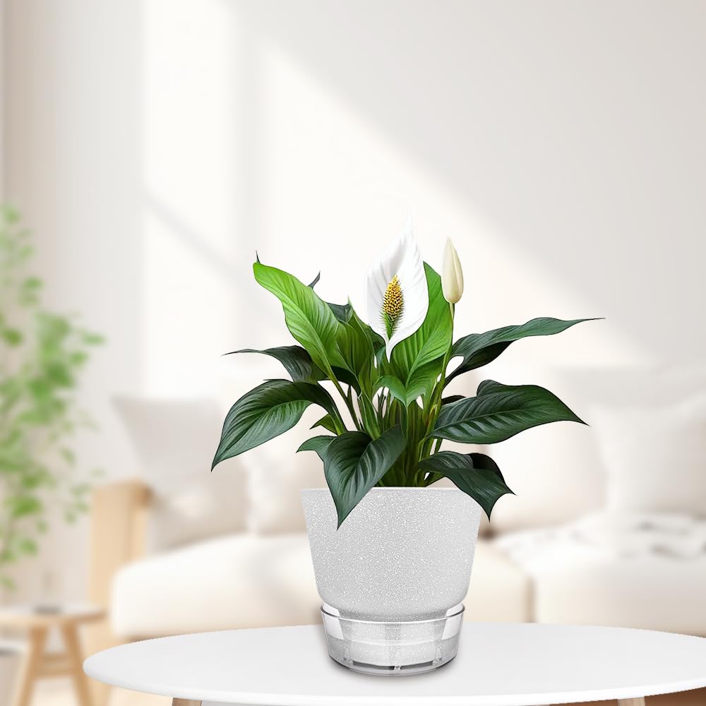 HYNZ 2024 Upgraded 5 Pack 6-Inch Self-Watering Planter Pots with Deep Reservoir for Indoor and Outdoor Plants with Planting Tools (Frosted White)