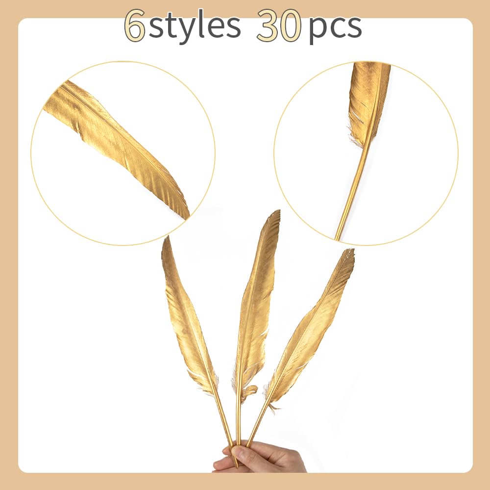 WENCELYL Gold Feather 6styles 30pcs Natural Goose Swan Feathers for Wedding Party Decoration DIY Crafts Halloween Performances Accessories