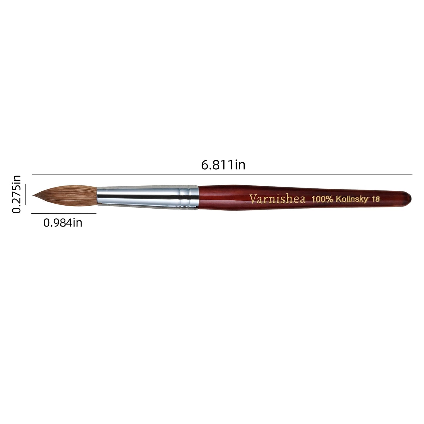 varnishea 100% Pure Kolinsky Acrylic Nail Brush Solid Wood Handle Professional Manicure Brushes for Powder Nail Acrylic Application - Salon & DIY Nail Art Essentials - Size 18, 1.0 Count