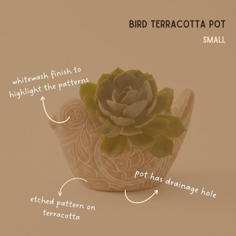 Potthing Terracotta Bird Shape Pots (Set)