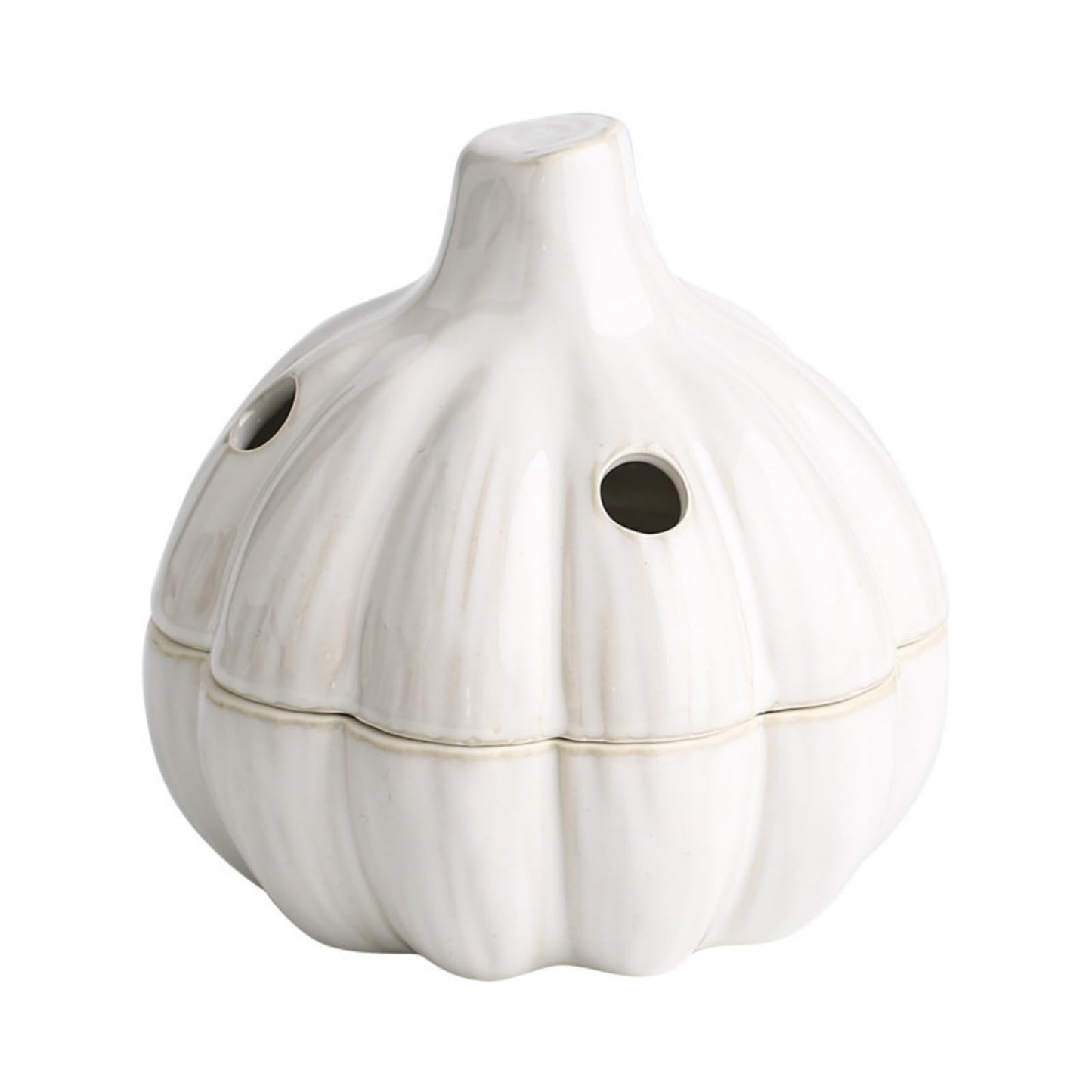 LUOBEIYAOHL ceramic garlic keeper with lid terracotta storage container jar saver holder countertop