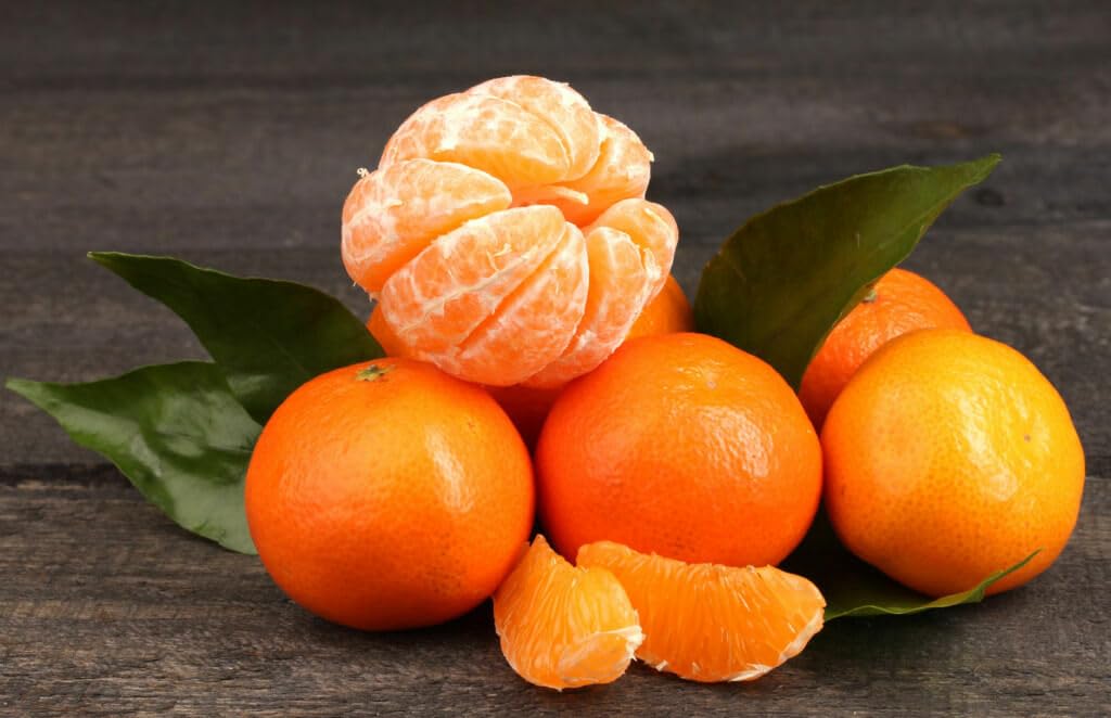 Live Plant - Clementine/Algerian Mandarin Tree - Semi-Dwarf - 24-36" Tall - Live Citrus Plant