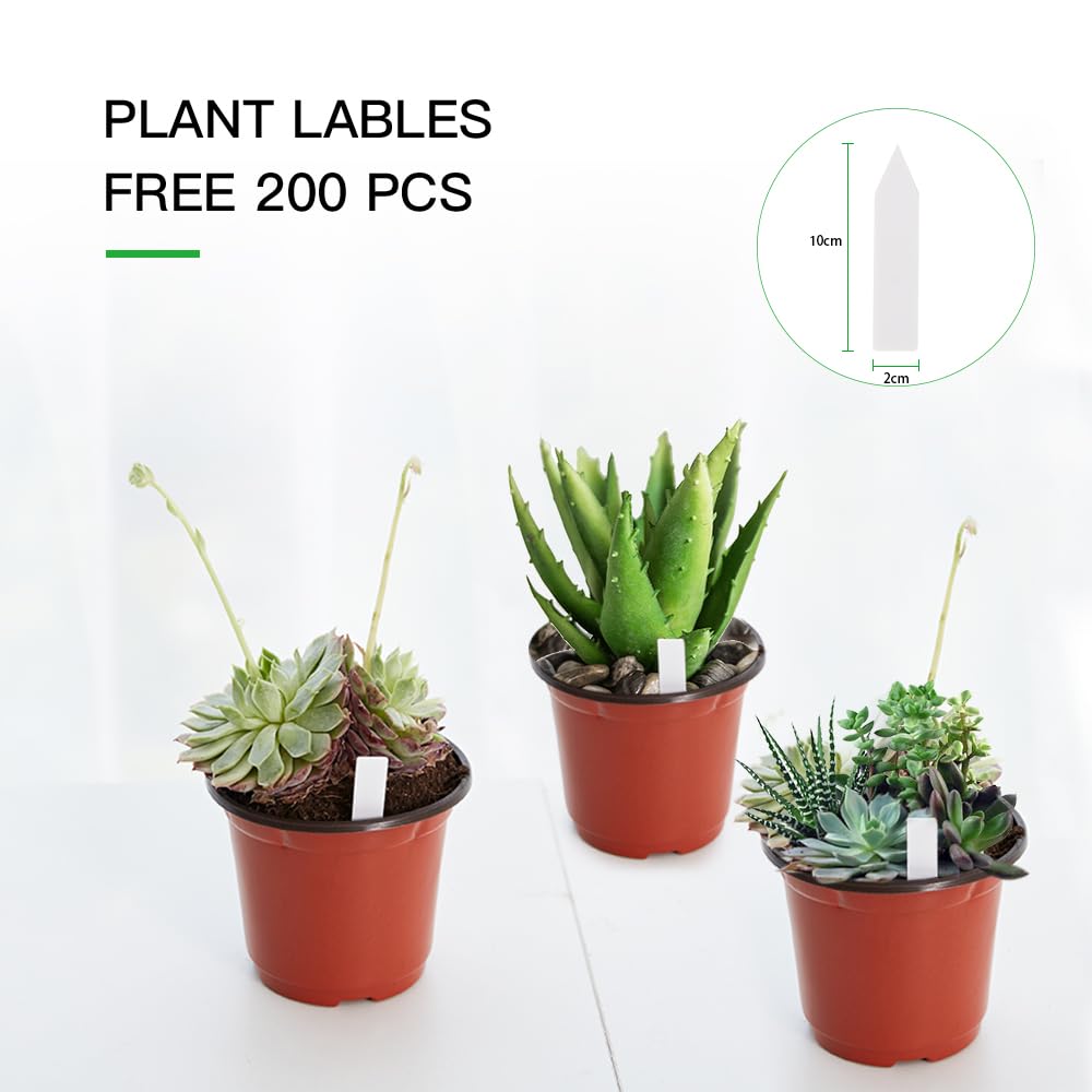 JERIA 200 Pack 6 Inch Plastic Nursery Pots Comewith Drainage Holes, Seedling Flower Plant Container and Seed Starting Pots with 200 Pcs Labels