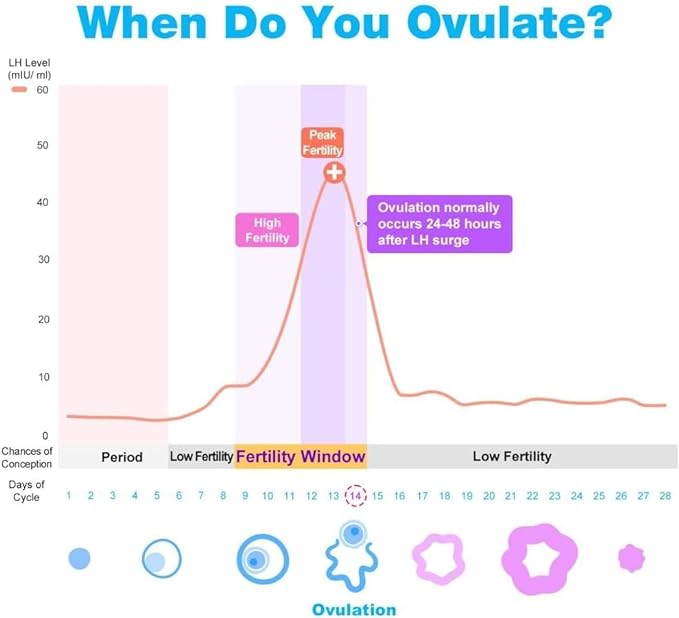 Easy@Home 50 Ovulation Test Strips + Digital Basal Thermometer, 50LH Strips+EBT-100