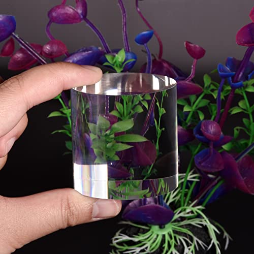 MECCANIXITY Clear Acrylic Solid Cylinder Round Display Riser, 1.2 inches (Height) x 2 inches (Diameter), for Showing Your Collectibles, Cosmetics