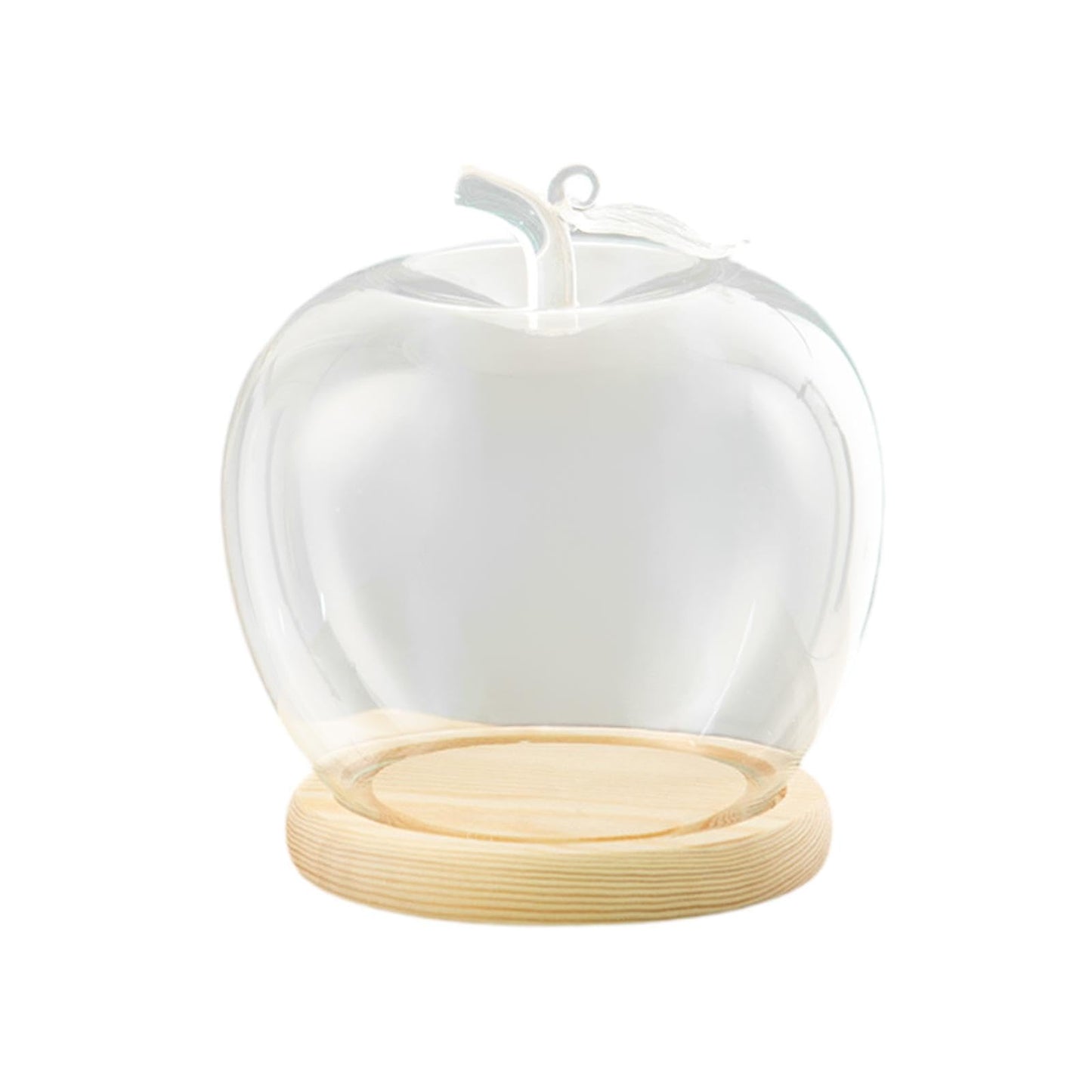 Clear Glass Dome Jar with Wooden Base Decorative DIY Flower Craft Tabletop Display Dia 3.5inch for Home Decor Valentine's Day, Beige