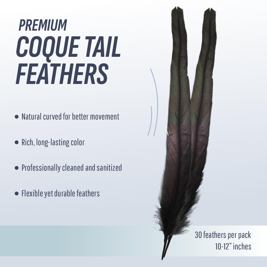 Schuman Feathers Black Coque Tail Feathers 30 Pack (10-12 Inch) – Natural Rooster Feathers for Crafts, Costumes, Decor, DIY, Halloween, Mardi Gras – Packed in USA, U.S. Quality Control