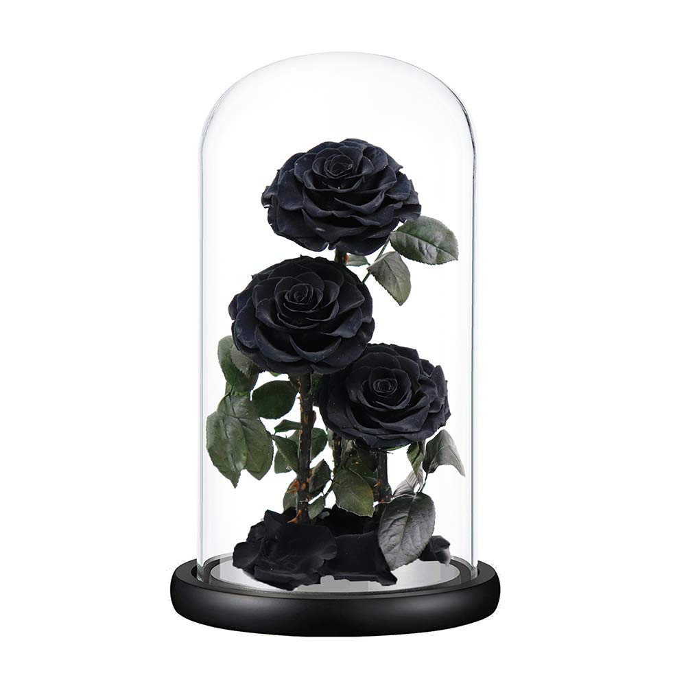 Preserved Roses Handmade Preserved Flowers in Glass Dome, Black Roses Never Withered, Birthday Gifts for Her (13 inch)