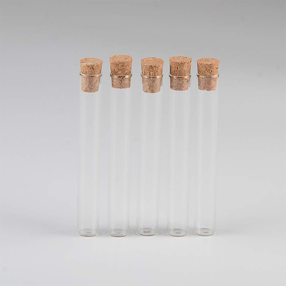 TAI DIAN Mini 4ml Small Glass Vials Jars Test Tube With Cork Stopper Empty Glass Transparent Mason Jars Bottles 100pcs(10x75mm-shiguan)