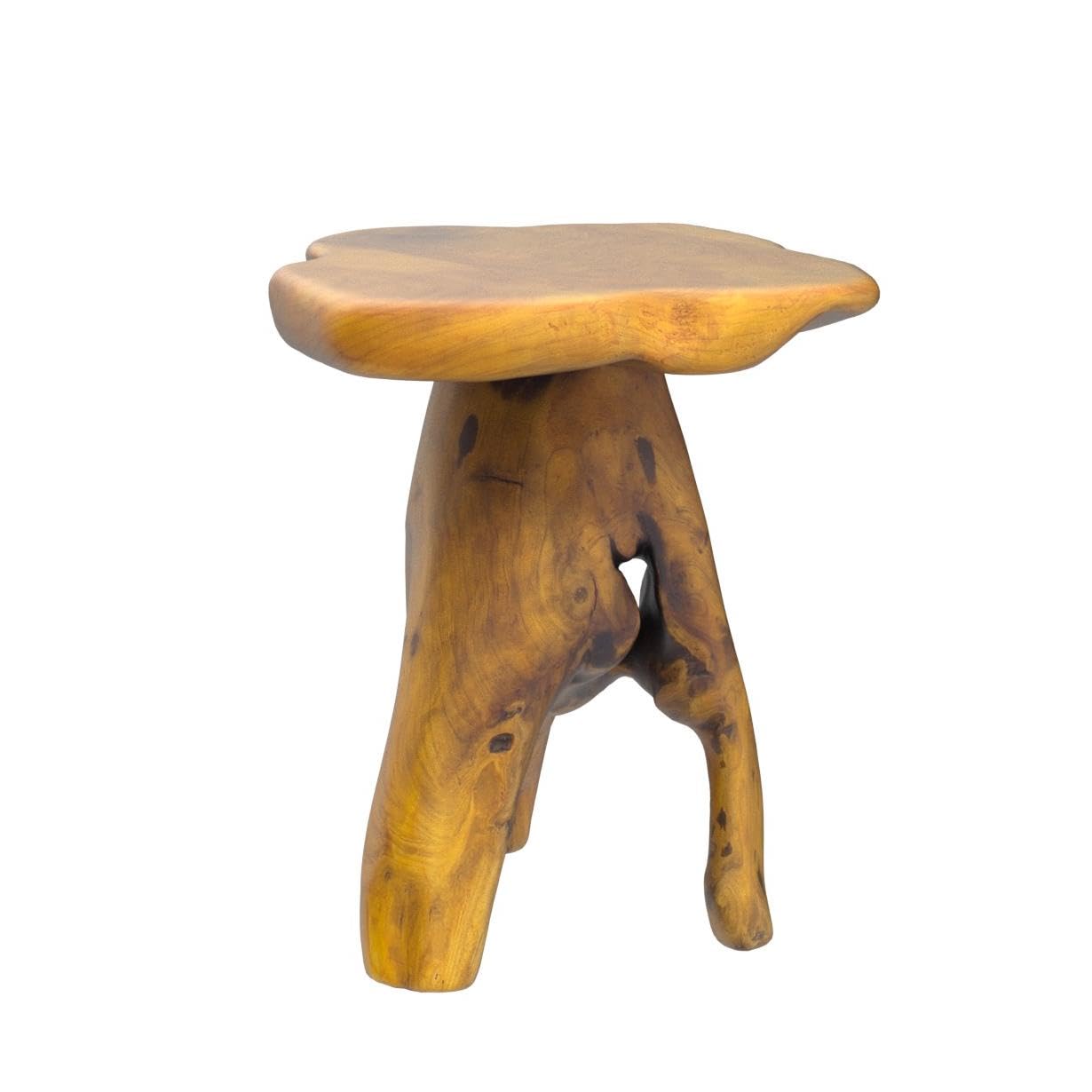 HOEGMST Small Side Table, Unique Design Live Edge Wood Stool, Freeform Natural Plant Stand for Garden, Yard, Living Room, Bedroom