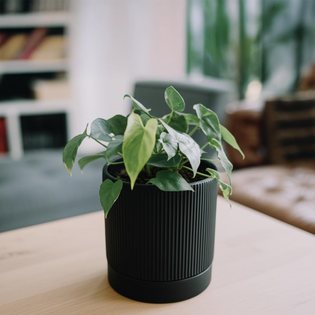 HERDUK 6 Inch Ceramic Plant Pot with Drainage & Saucer - Indoor Planter for Succulents, Cacti & Aloe Vera - Striped Design, High-Temp Fired Clay, Lightweight Modern Decor