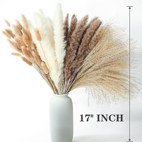 200PCS Dried Flower Bouquet – Pampas Grass, Floral Decor for Home, Wedding, and Boho Style | Perfect for Vases, Fall, Spring, Summer, and Winter Arrangements - size: 200PCS