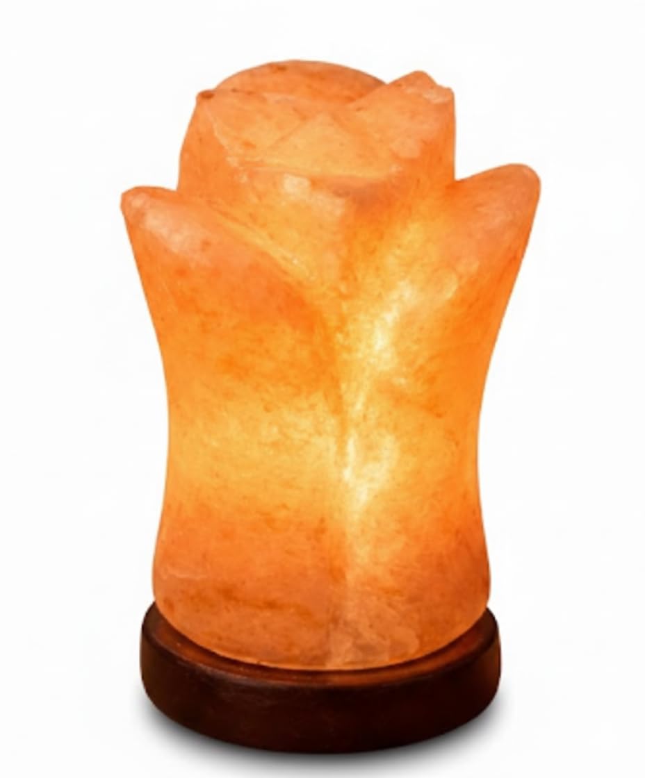 NatureBoost HL Himalayan Pink Salt Flower Shape lamp Wooden Base with dimmer Switch and a Pair of 15W Bulbs. Unique Gift Idea