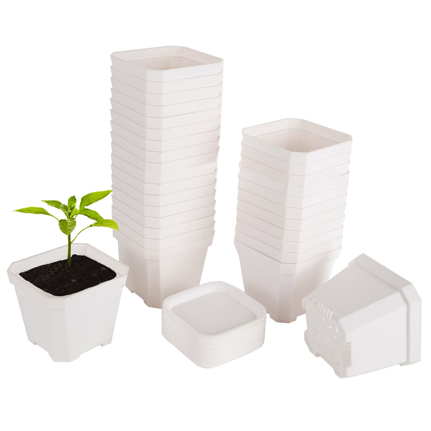 foxany 4" Nursery Pot, 30 Pcs Thick Plastic Square Planting Pots, Plant Seedling Pots, Seed Starting Pots with 30 Saucers - White