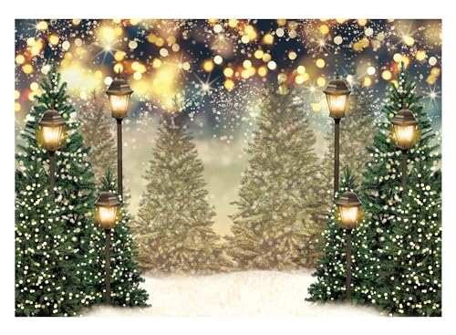 Allenjoy 7x5ft Winter Forest Landscape Photography Backdrop Glitter Spot Xmas Green Pine Trees Snowy Wonderland Background for Christmas New Year Party Decor Banner Portrait Photo Booth Props