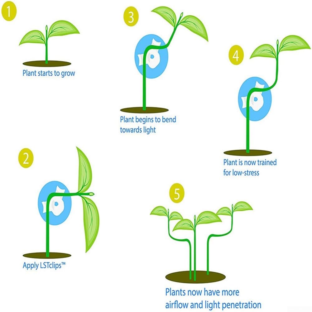 Plant Bender, Reusable Plant Training Bender 90 Degrees Low Stress Training Clips Plant Stem Trainer for Plant Gardening Flower Vine Branches