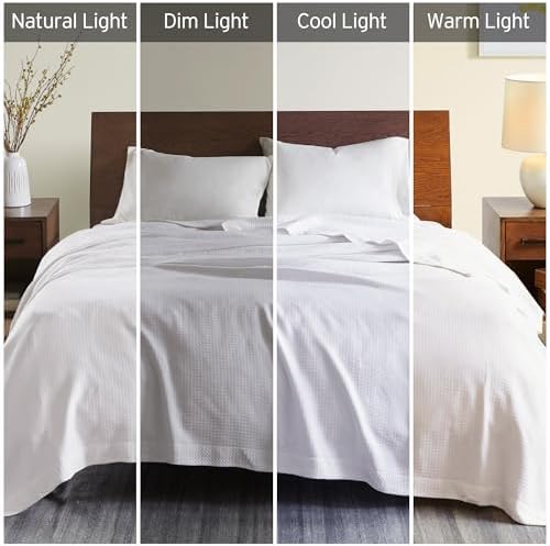 Madison Park Egyptian Cotton Luxury Blanket White 90x90 Full/Queen Size Knit Premium Soft Cozy 100% Cerified Egyptian Cotton For Bed, Couch or Sofa