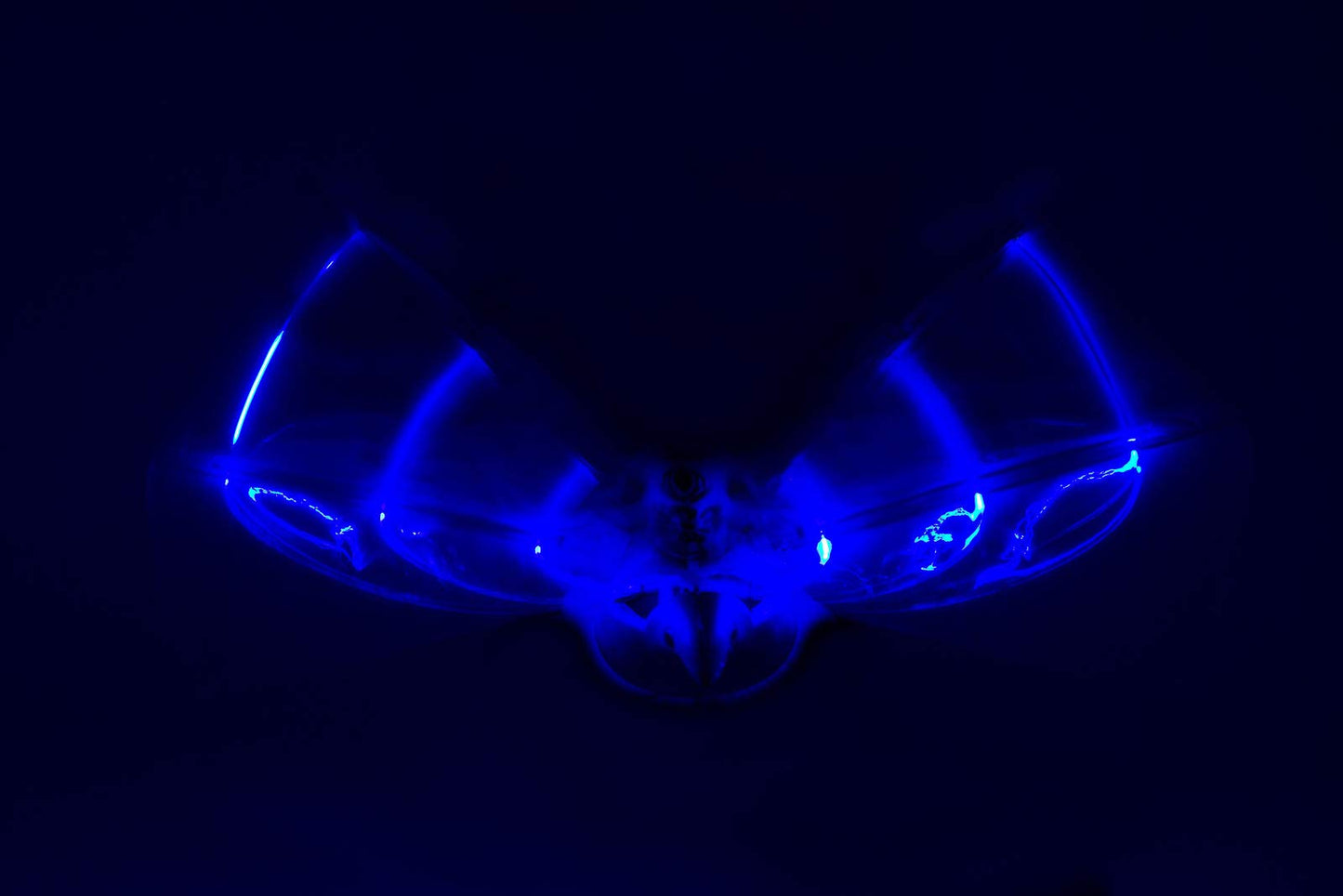 Duncan Toys Dragon Hawk Light-Up Flying Bird - Day/Night Motorized Toy with Shake Auto Start, USB Charger, 2 Flight Positions