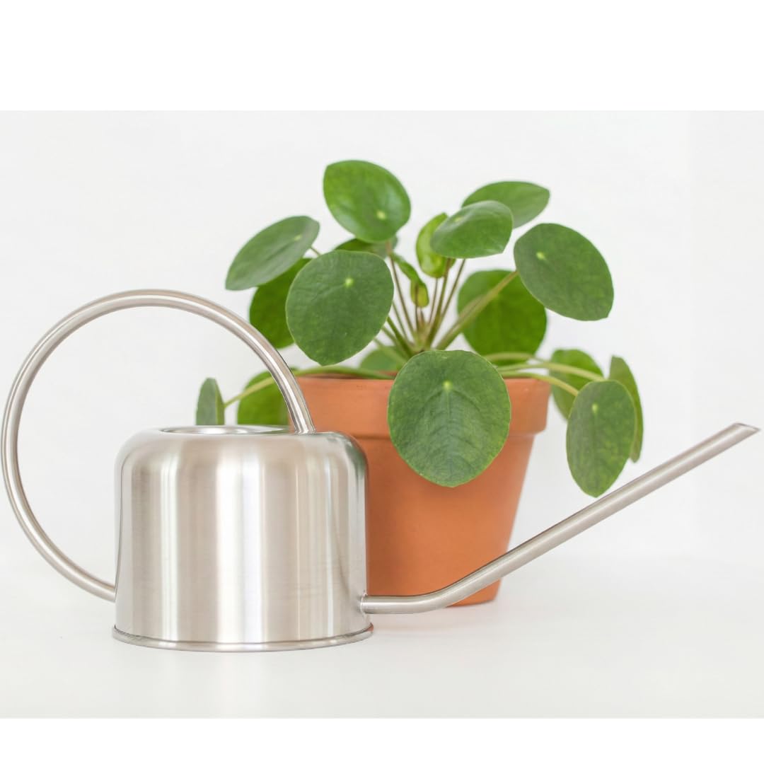 Stainless Steel Watering Can for Houseplants by Houseplant Resource Center | 1L Capacity for Indoor/Outdoor Plants in Brushed Silver