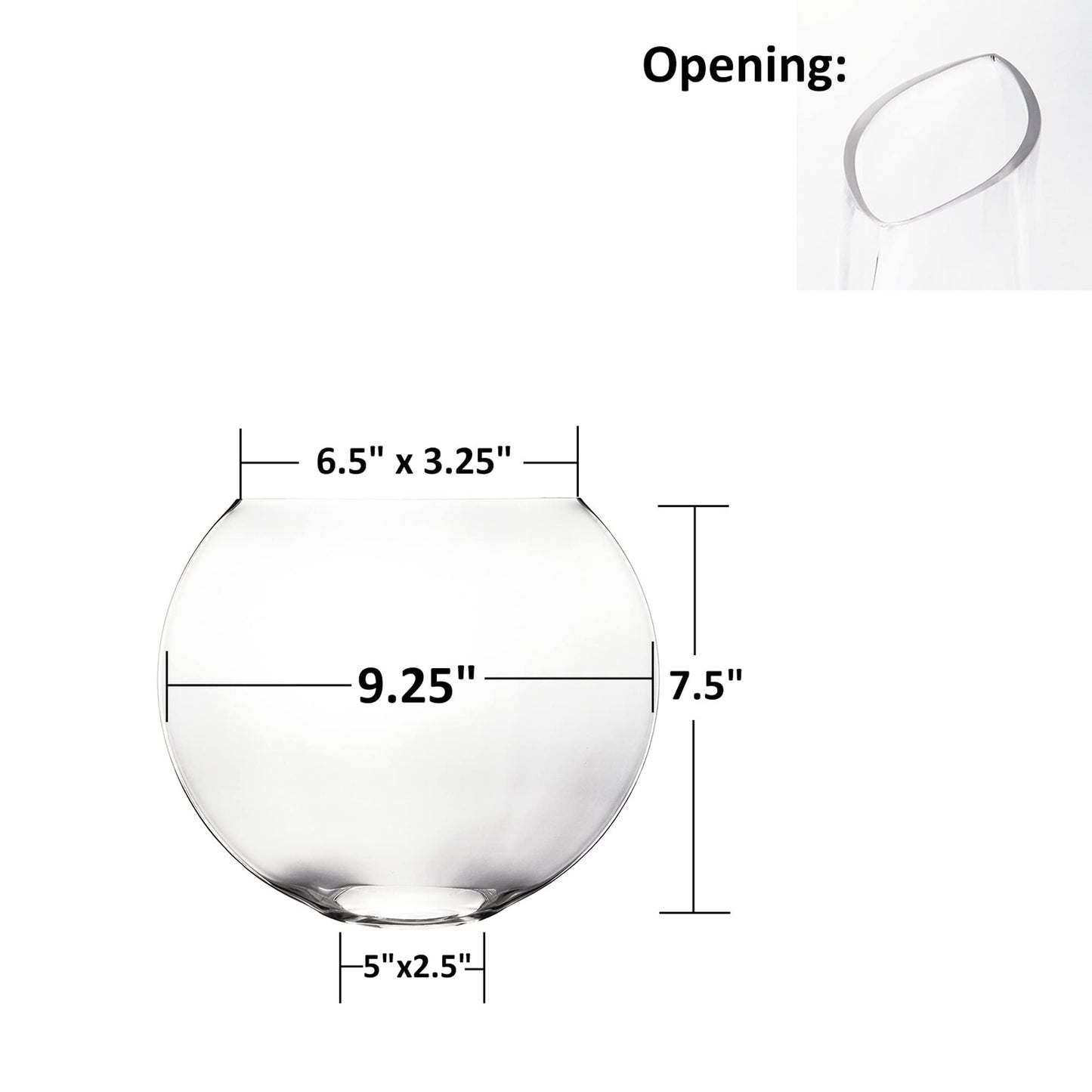 CYS EXCEL Glass Moon Vase Oval Bowl (H:7.5" L:9.25") | Multiple Size Choices Round Flower Vase Centerpiece | Plant Terrarium Bowl Vase