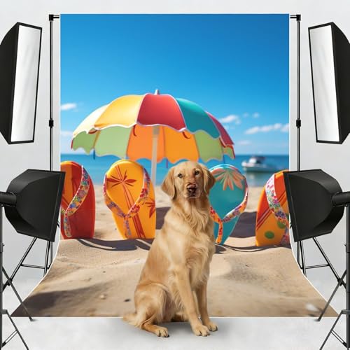 Colorful Flip Flops Beach Ball Backdrop Background for Photography 5x7ft Photobooth Professional Photo Backdrop Curtains Video Photography Studio Photo Backgrounds Banner BoothScreen Parties - color: Colorful Flip Flops Beach Ball
