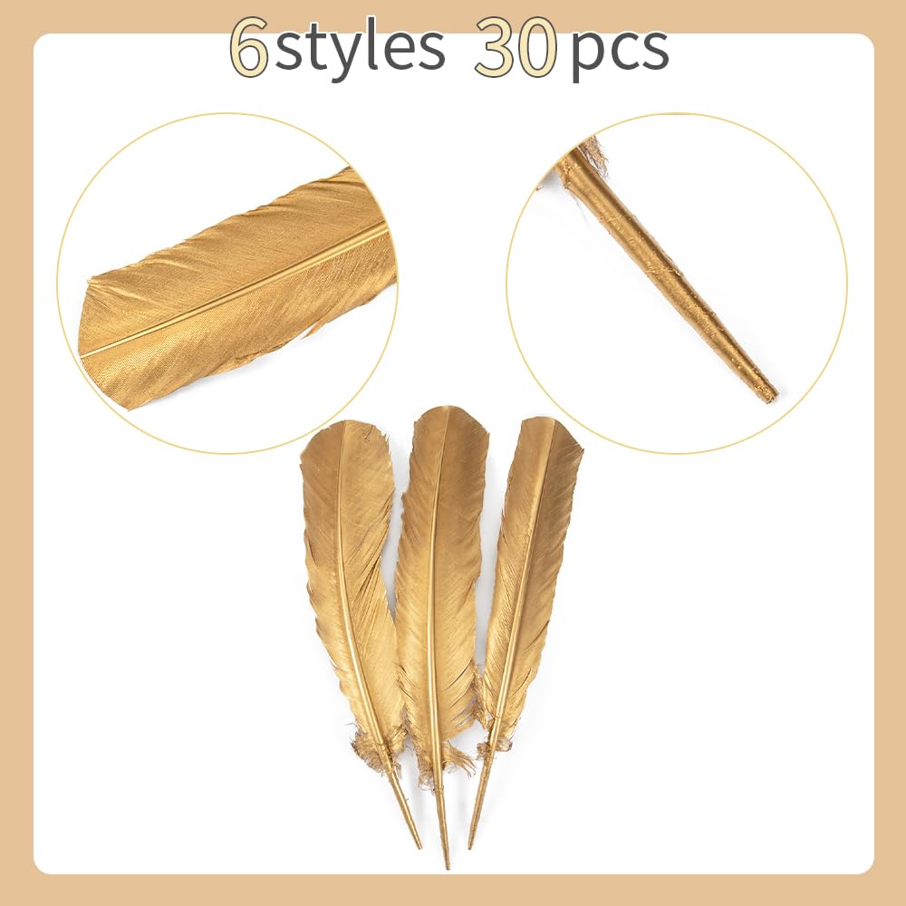 WENCELYL Gold Feather 6styles 30pcs Natural Goose Swan Feathers for Wedding Party Decoration DIY Crafts Halloween Performances Accessories