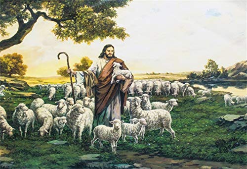 Laeacco Dusk Shepherd Sheep Flock Grassland Fresco Easter Backdrop 10x8ft Jesus Christ Theme Christmas Background Bible Story Church Activities Christian Photo Shoot Studio - size: 10x8ft