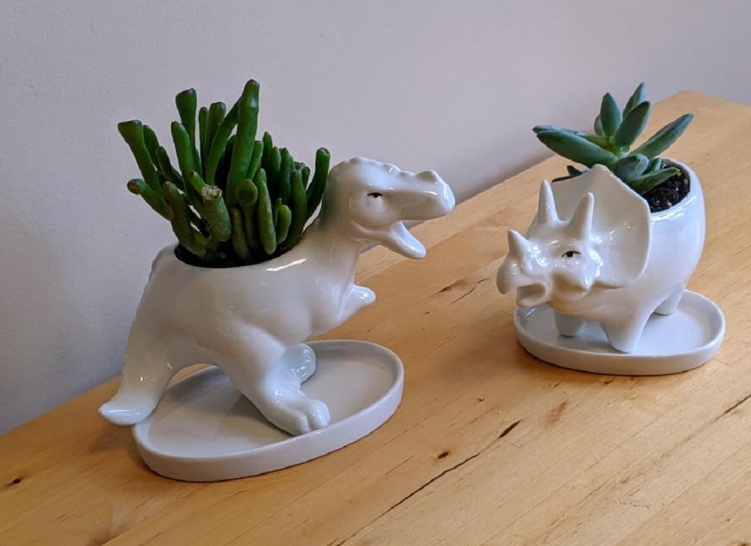 zmgmsmh Ceramic Succulent Plant Pot Cactus Plant Pot Flower Pot Container Planter with Drainage Hole Home Office Desk Garden Gift Idea Animal Shaped Flower Pot Cute Vase Pot (4pcs Dinosaur)