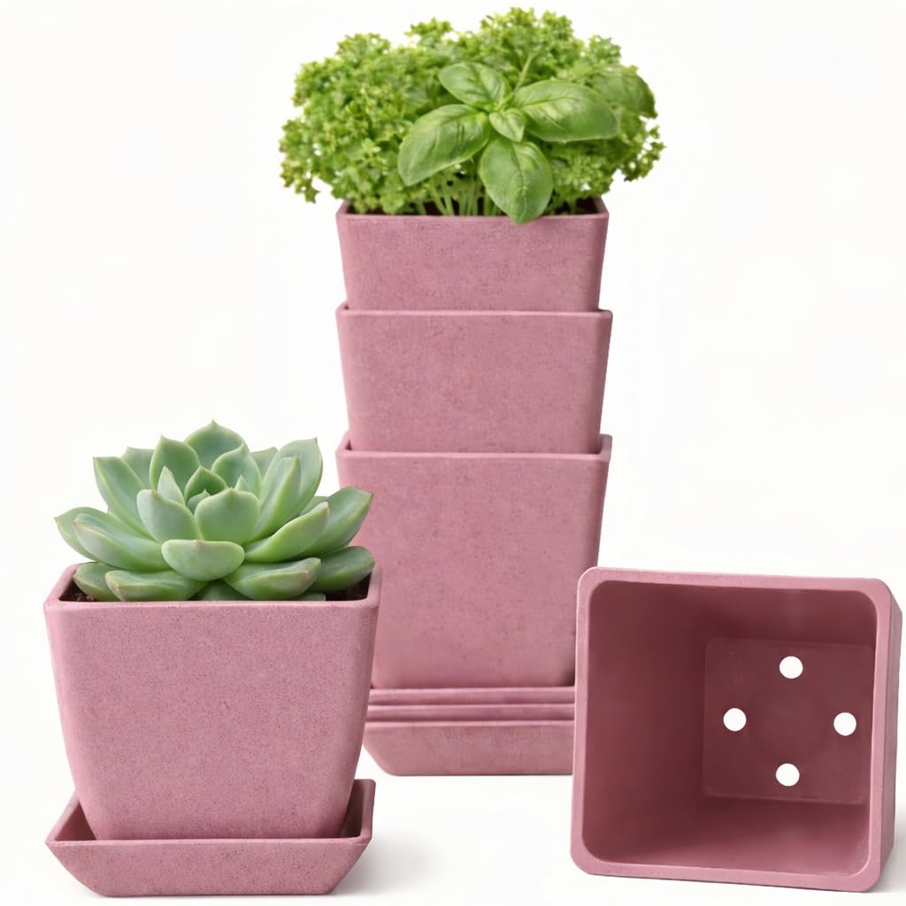 3.5 Inch Small Planter Pots with Drainage Holes and Saucers, Matte Square Indoor Plant Pots for Succulents and Herbs, Lightweight Modern Planters for Kitchen Herb Garden, Windowsill or Desk 5 Pack