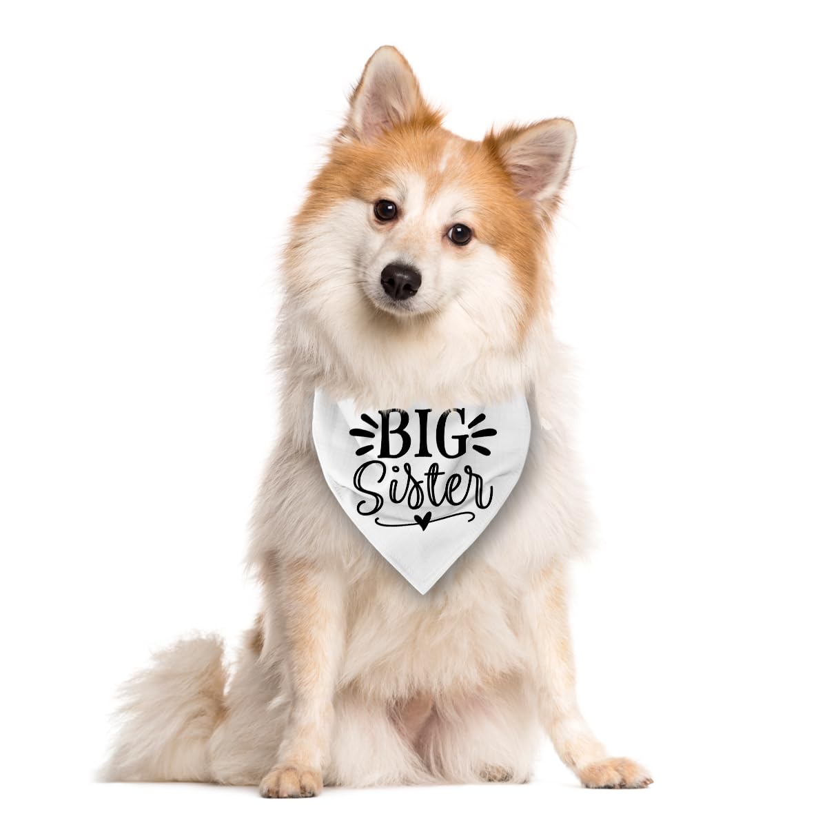 Big Sister Dog Bandana, White Pet Triangle Scarf Accessories, Pet Bandana for Large Dogs, Baby Announcement Dog Bandanas (L)
