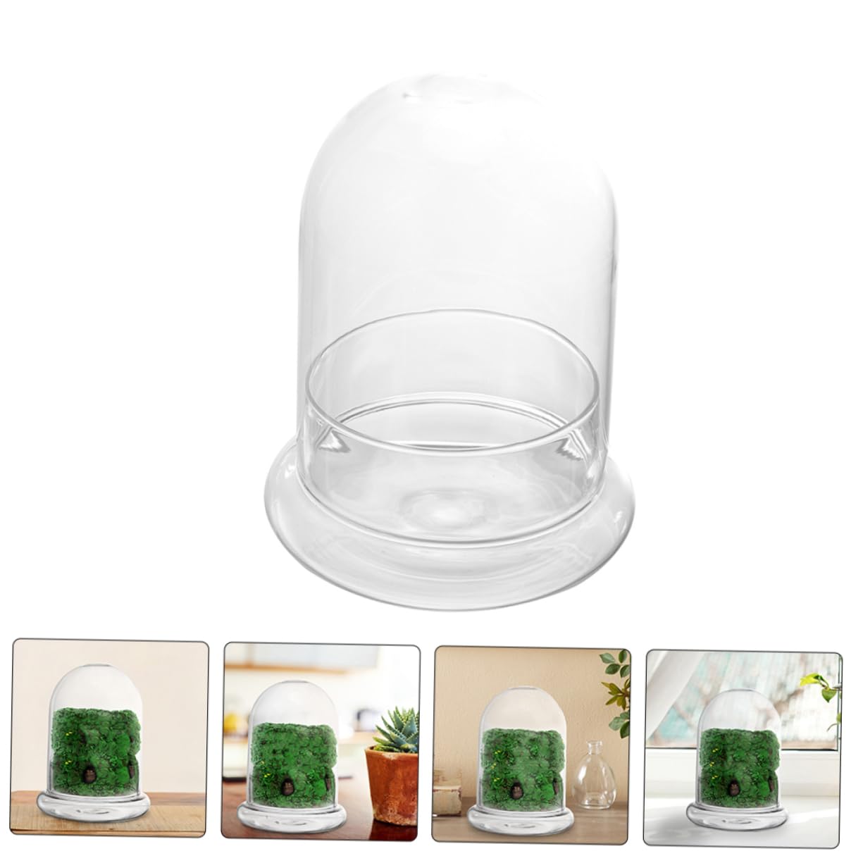 FUNOMOCYA 2pcs Eco Bottle Moss Micro Landscape Bottle Glass Terrarium DIY Plant Container